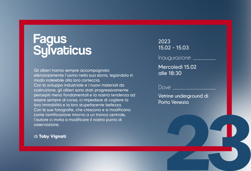 Invito mostra di Toby Vignati: "Fagus Sylvaticus"